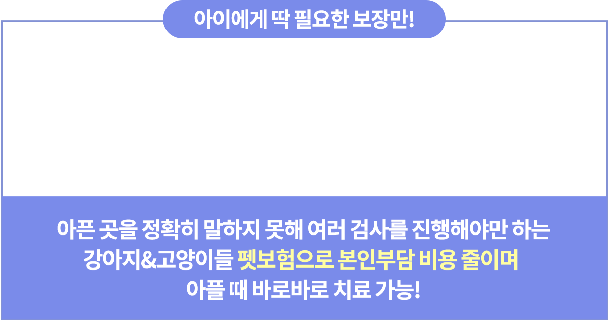 보험에 필요한 보장 설명 