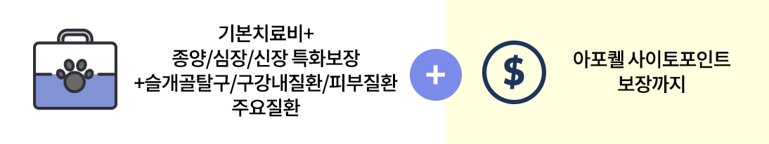 반려동물 치료비 종류, 슬개골탈구 구강내질환 등