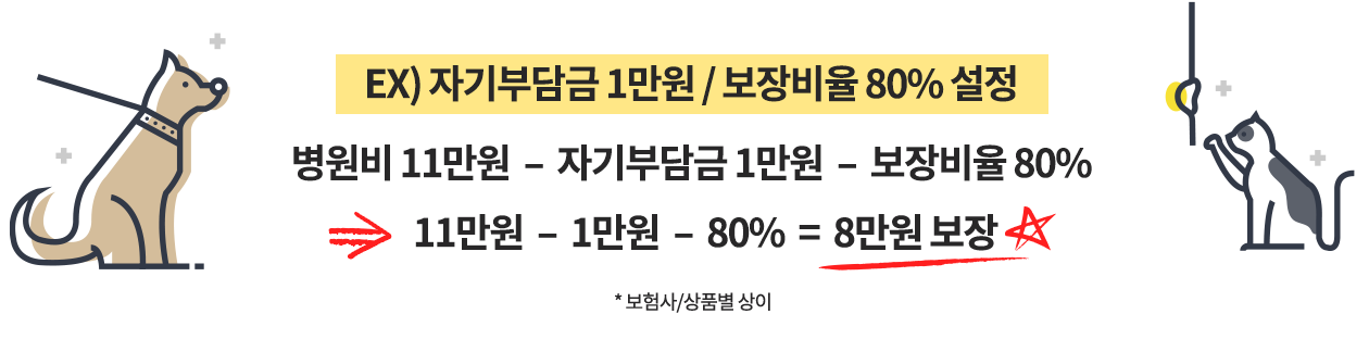 보험신청 반환금액