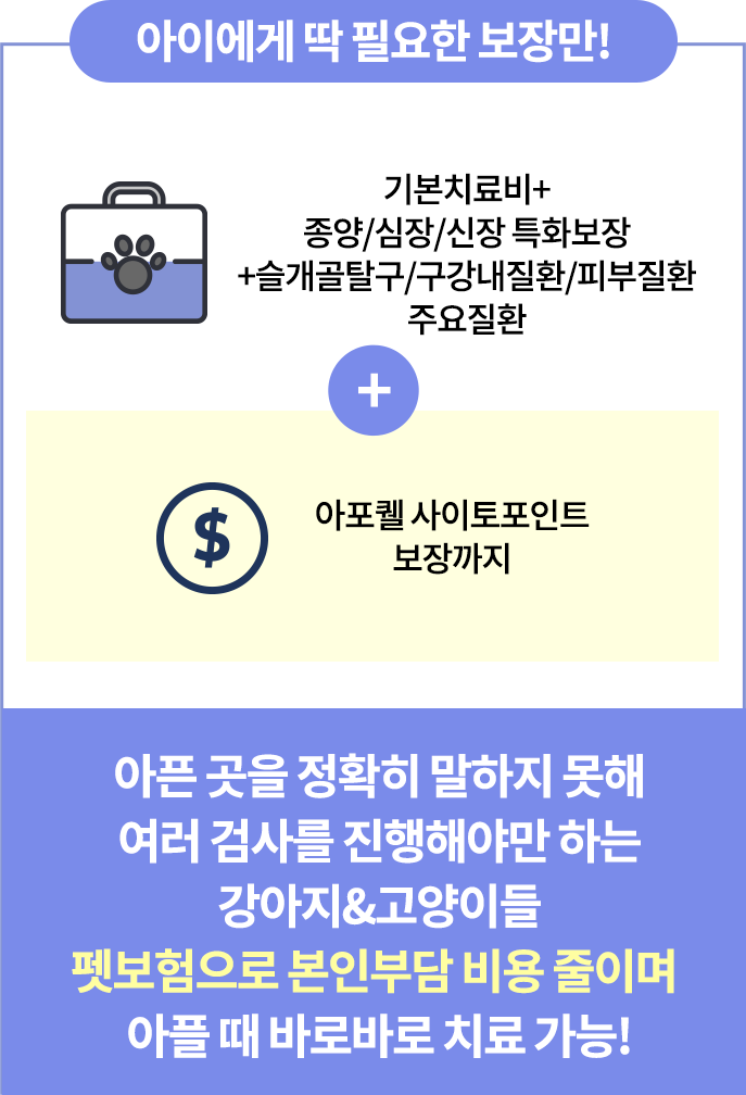 보험에 필요한 보장 설명 