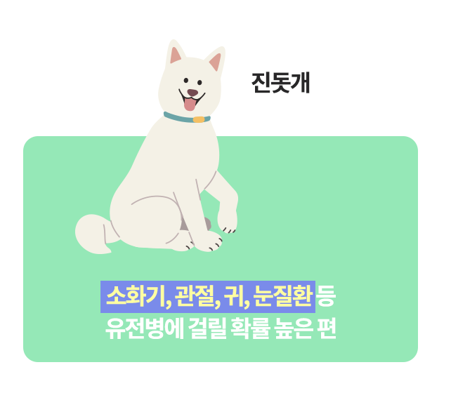 반려견 소화기질환, 반려견 관절, 반려견 귀, 반려견 눈질환