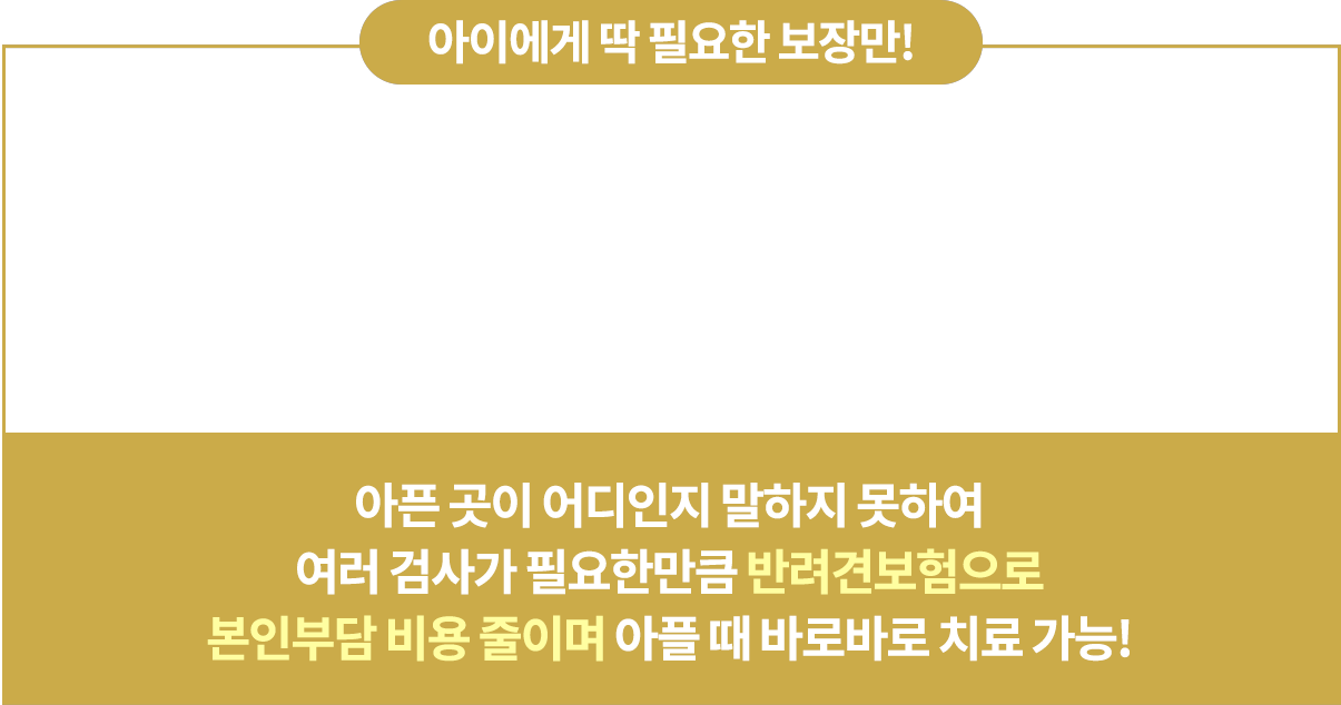 보험에 필요한 보장 설명 