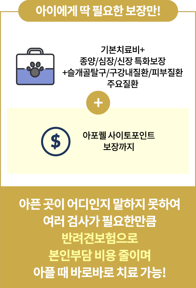 보험에 필요한 보장 설명 