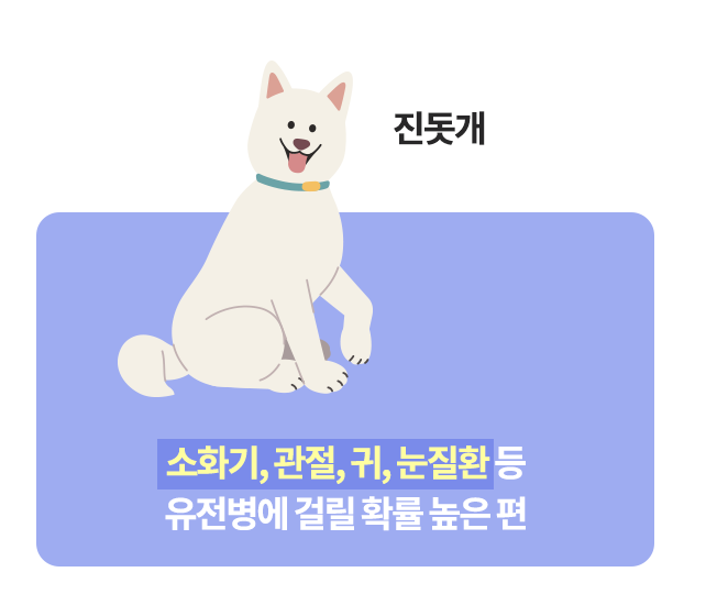 반려견 소화기질환, 반려견 관절, 반려견 귀, 반려견 눈질환