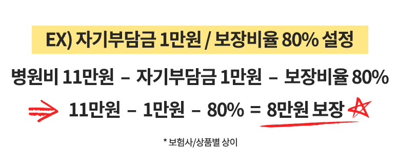 보험신청 반환금액